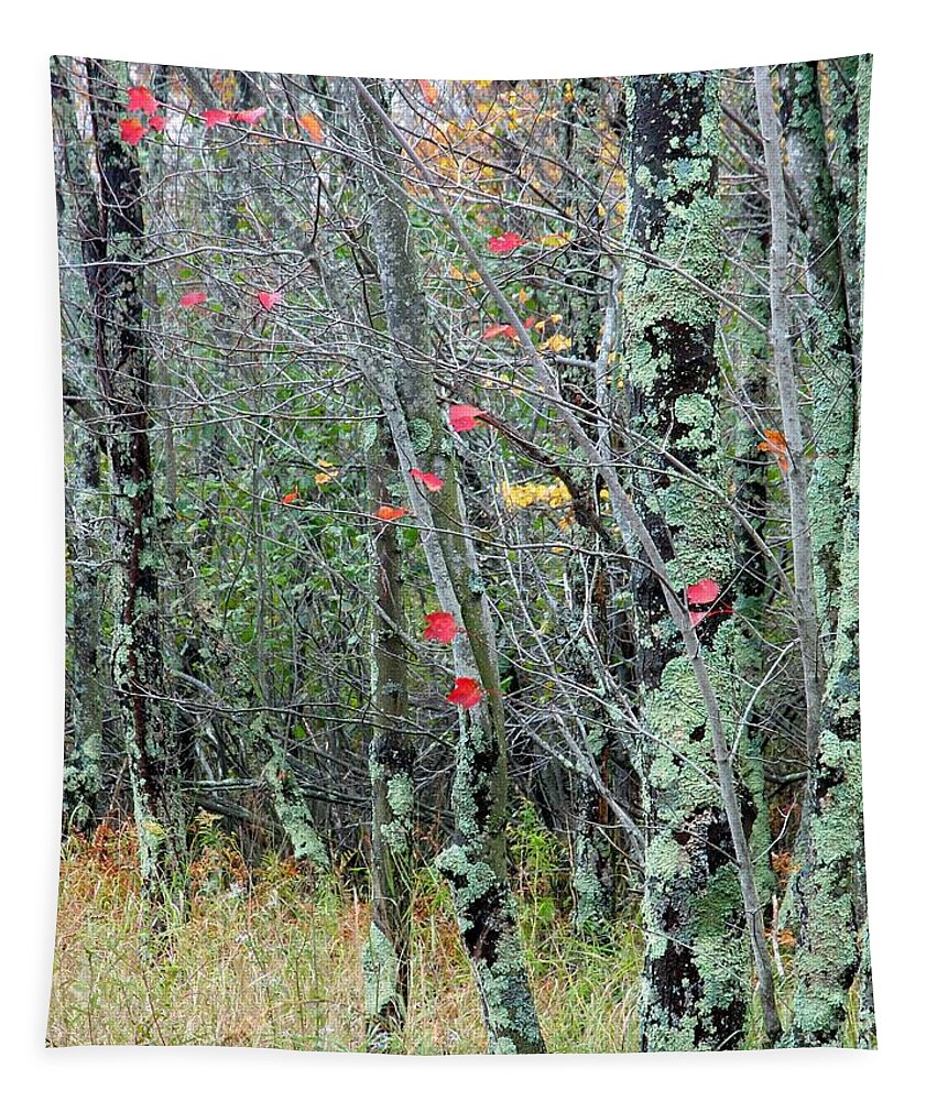 Tree Tapestry featuring the photograph Marsh Trees by Juergen Roth