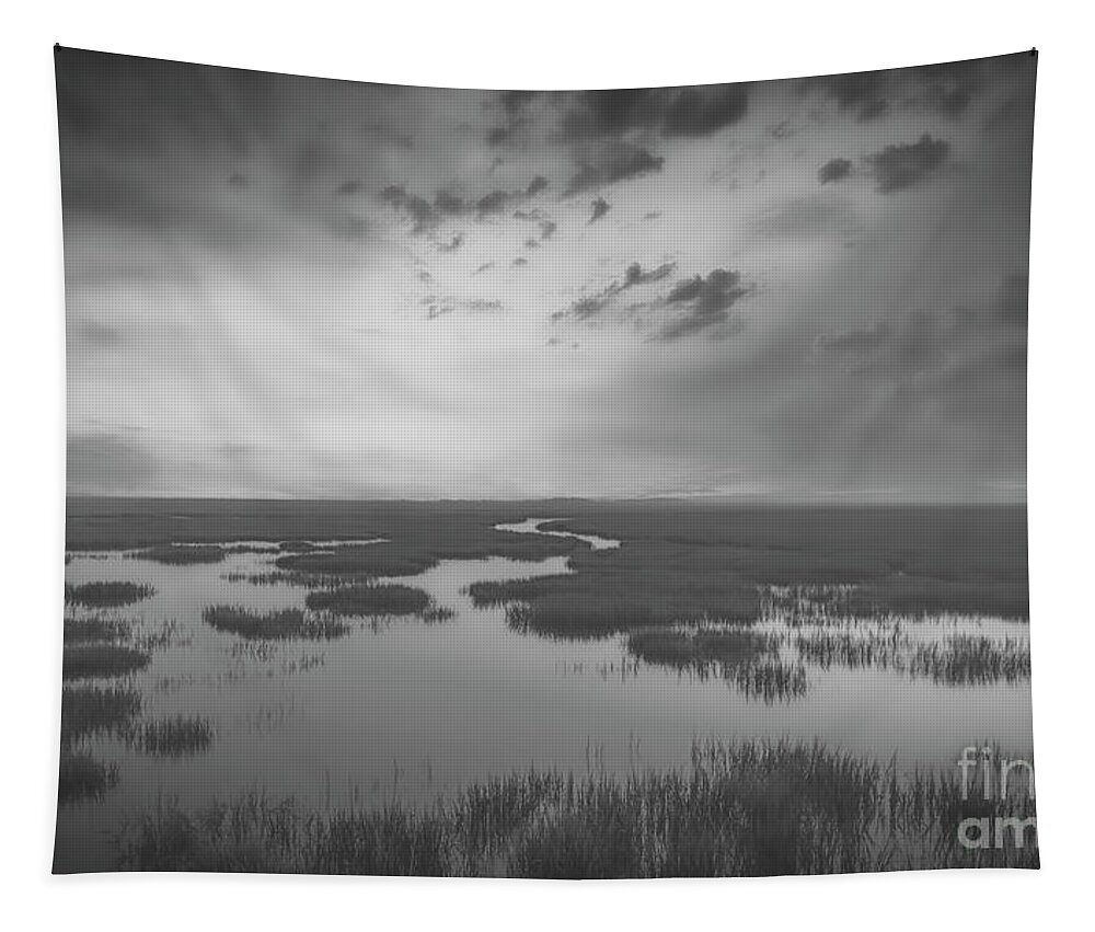 Landscapes Tapestry featuring the photograph Marshes of Glynn 2 by DB Hayes