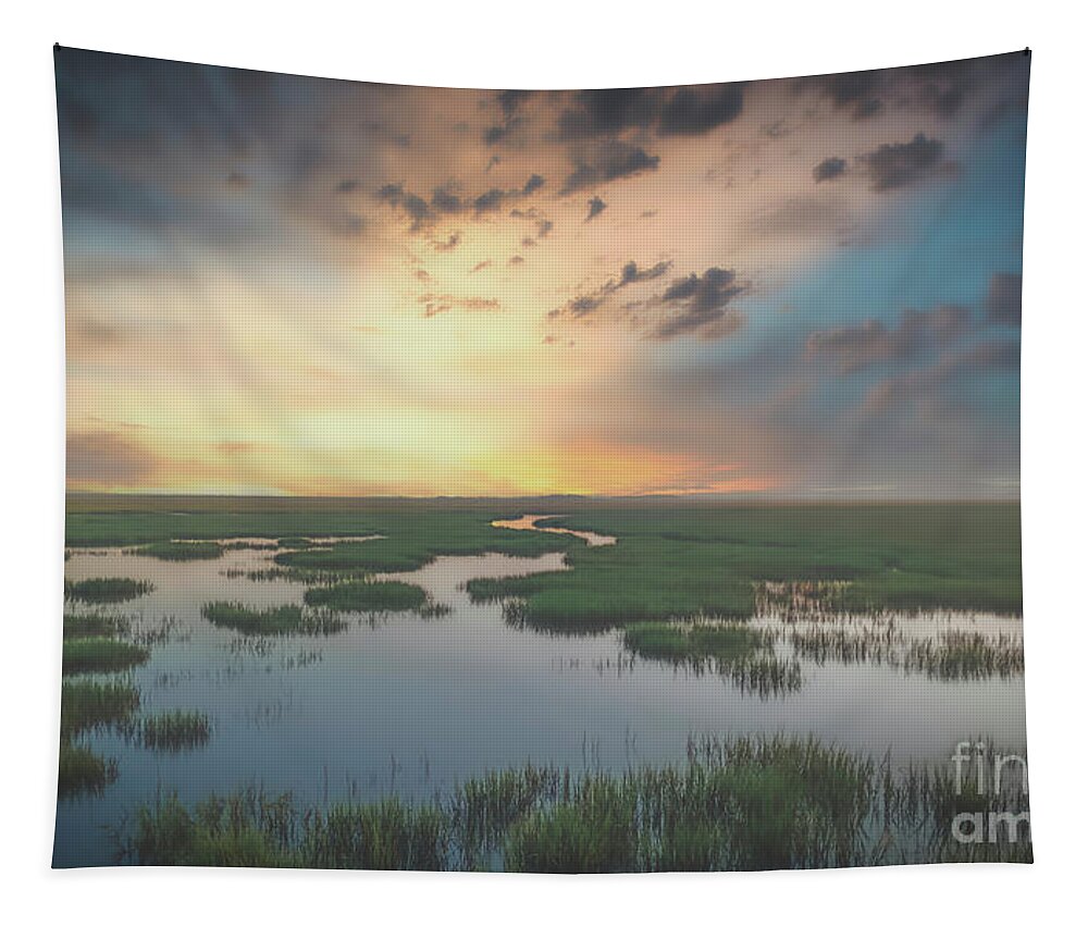 Landscapes Tapestry featuring the photograph Marshes of Glynn by DB Hayes
