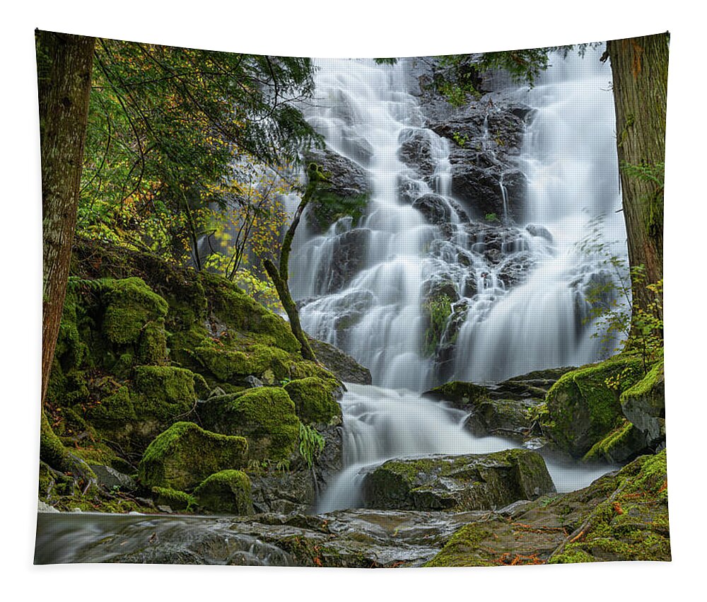 Waterfalls Tapestry featuring the photograph Mary Vine Falls by Bill Cubitt