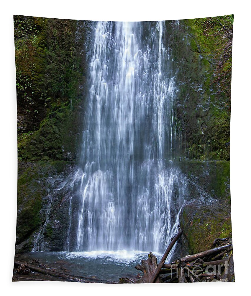 Waterfall Tapestry featuring the photograph Marymere Falls Bottom Half by Kirt Tisdale