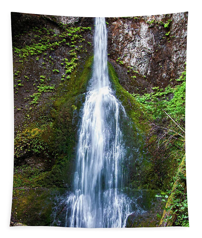 Waterfall Tapestry featuring the photograph Marymere Falls by Kirt Tisdale