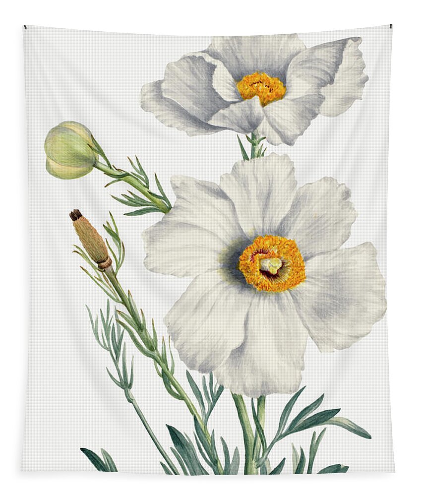 Poppy Tapestry featuring the painting Matilija Poppy by Mary Vaux Walcott by World Art Collective