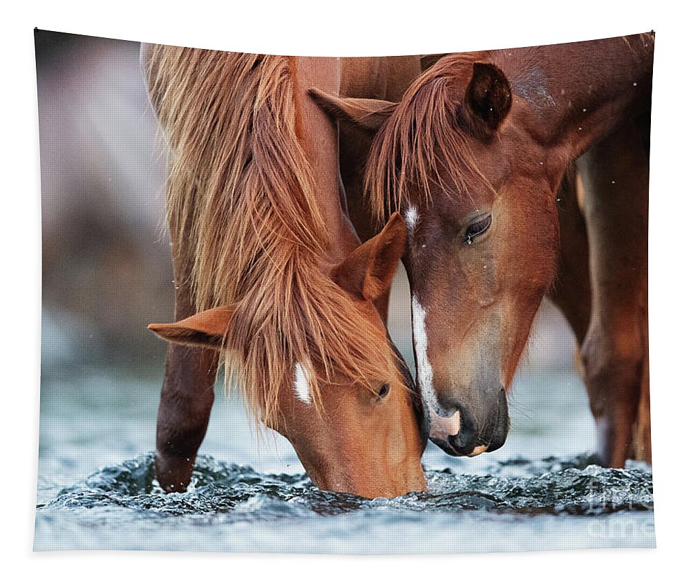 Cute Yearling Tapestry featuring the photograph May I Have Some? by Shannon Hastings
