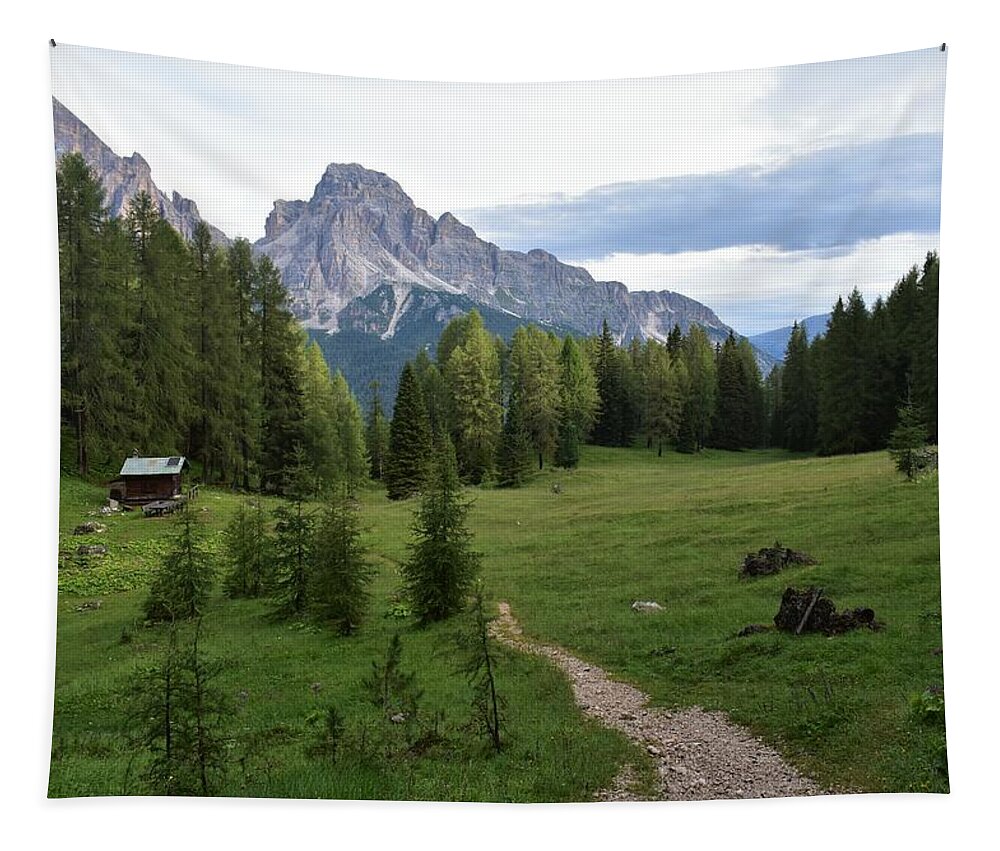Dolomites Tapestry featuring the photograph Meadow in the dolomites by Luca Lautenschlaeger