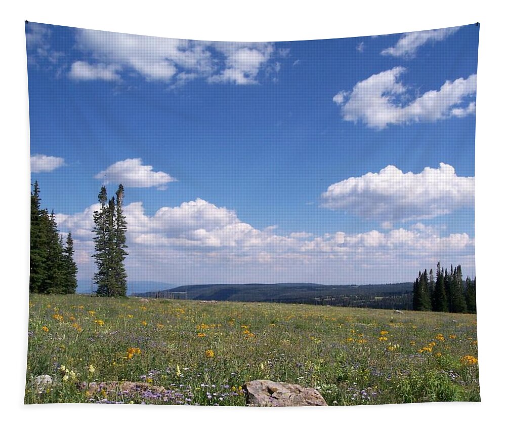 Mountains Tapestry featuring the photograph Meadows And Mountains by Amanda R Wright