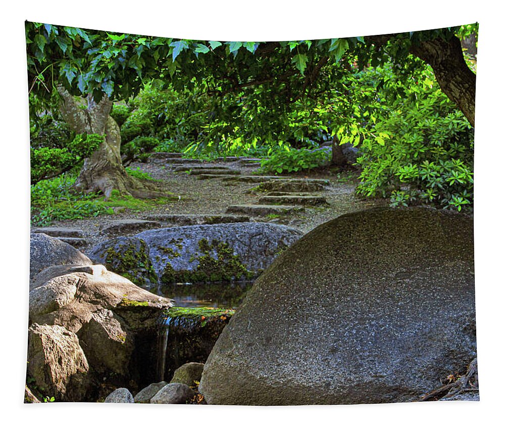 Meditation Tapestry featuring the photograph Meditation path by Bonnie Follett
