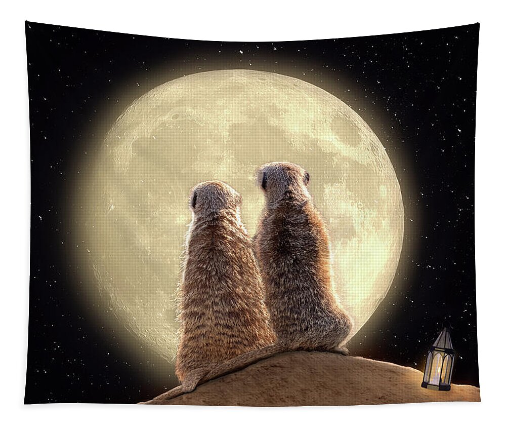 Meerkat Tapestry featuring the digital art Meerkat Moon by Nicole Wilde