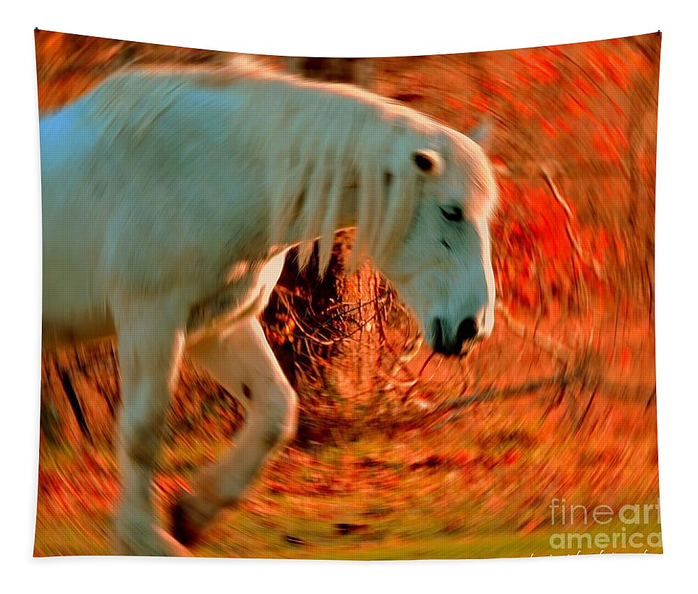 Horse Tapestry featuring the photograph Memories At Sunset by Tami Quigley