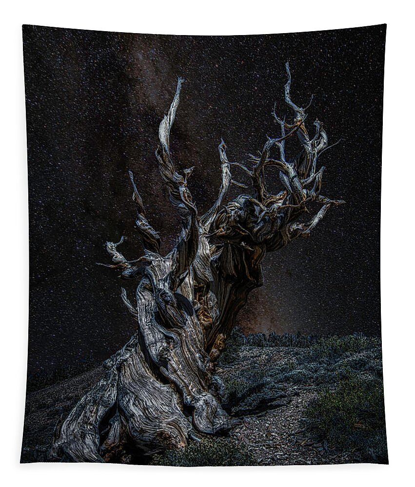 Landscape Tapestry featuring the photograph Methuselah Night Sky by Romeo Victor