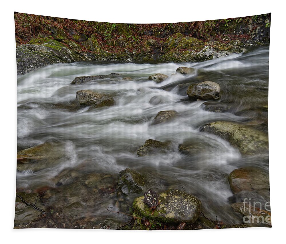 Middle Prong Little River Tapestry featuring the photograph Middle Prong Little River 58 by Phil Perkins