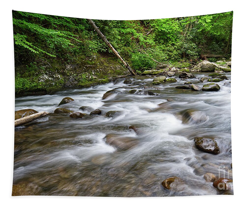 Middle Prong Little River Tapestry featuring the photograph Middle Prong Little River 60 by Phil Perkins