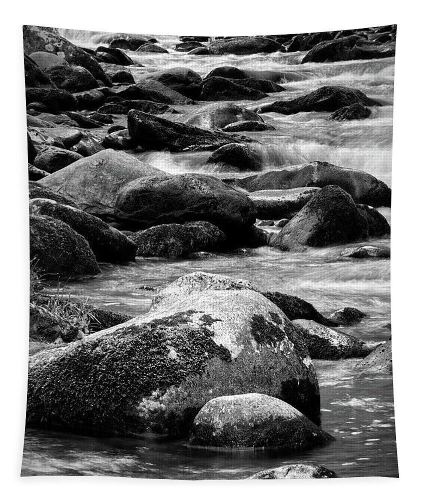 Middle Prong Trail Tapestry featuring the photograph Middle Prong Little River 7 by Phil Perkins