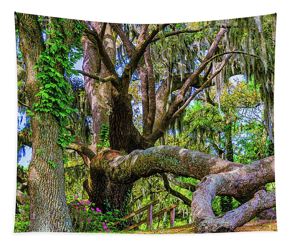 Middleton Plantation Tapestry featuring the photograph Middleton Oak Tree by Louis Dallara