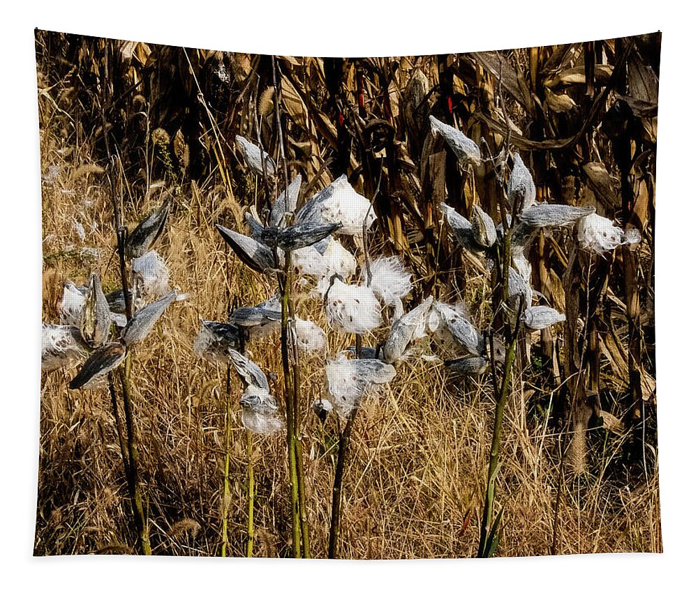 Lake Reflection Tapestry featuring the photograph Milkweed by Tom Singleton