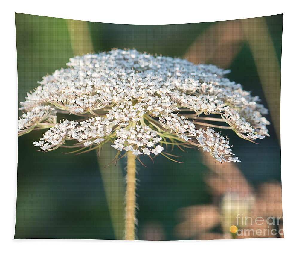 Flower Tapestry featuring the photograph Milkweed Umbrella by Marc Champagne