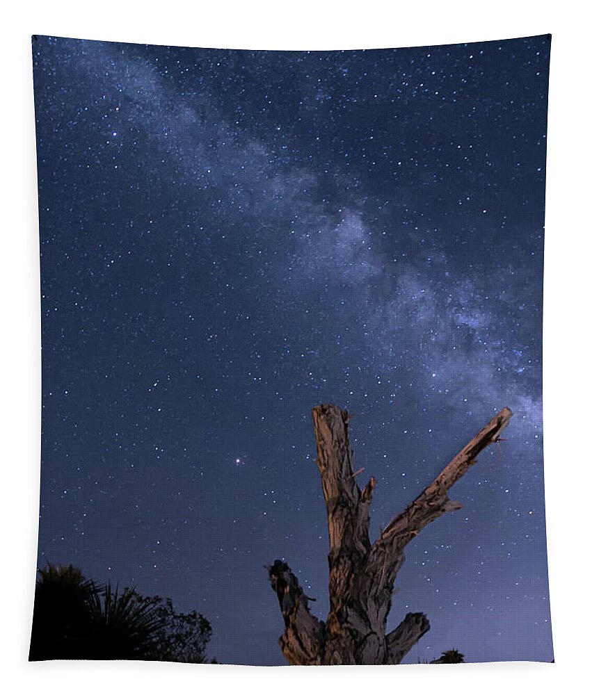 Milky Way Tapestry featuring the photograph Milky Way Over the Desert 2 by Lisa Chorny