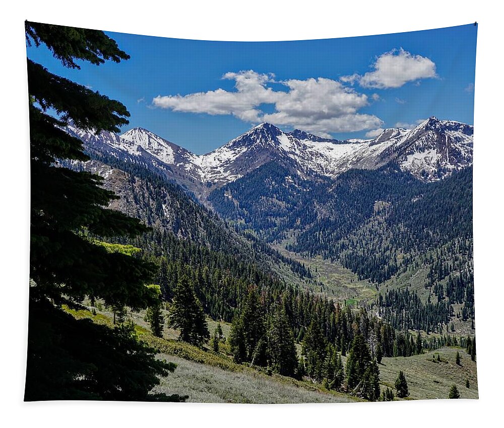Mineral King Tapestry featuring the photograph Mineral King Valley by Brett Harvey
