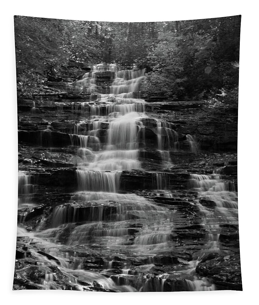 Waterfall Tapestry featuring the photograph Minnehaha Falls 1 BW - Georgia by Richard Krebs