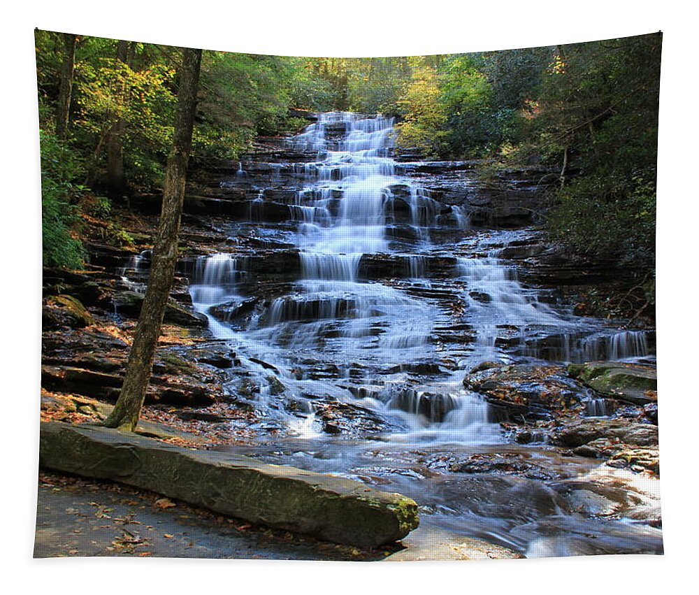Waterfall Tapestry featuring the photograph Minnehaha Falls 2 - Georgia by Richard Krebs