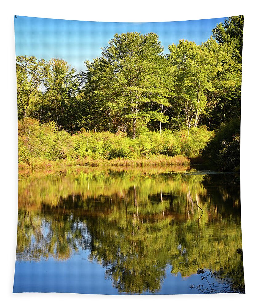 Pond Tapestry featuring the photograph Mirror Pond by Steven Nelson