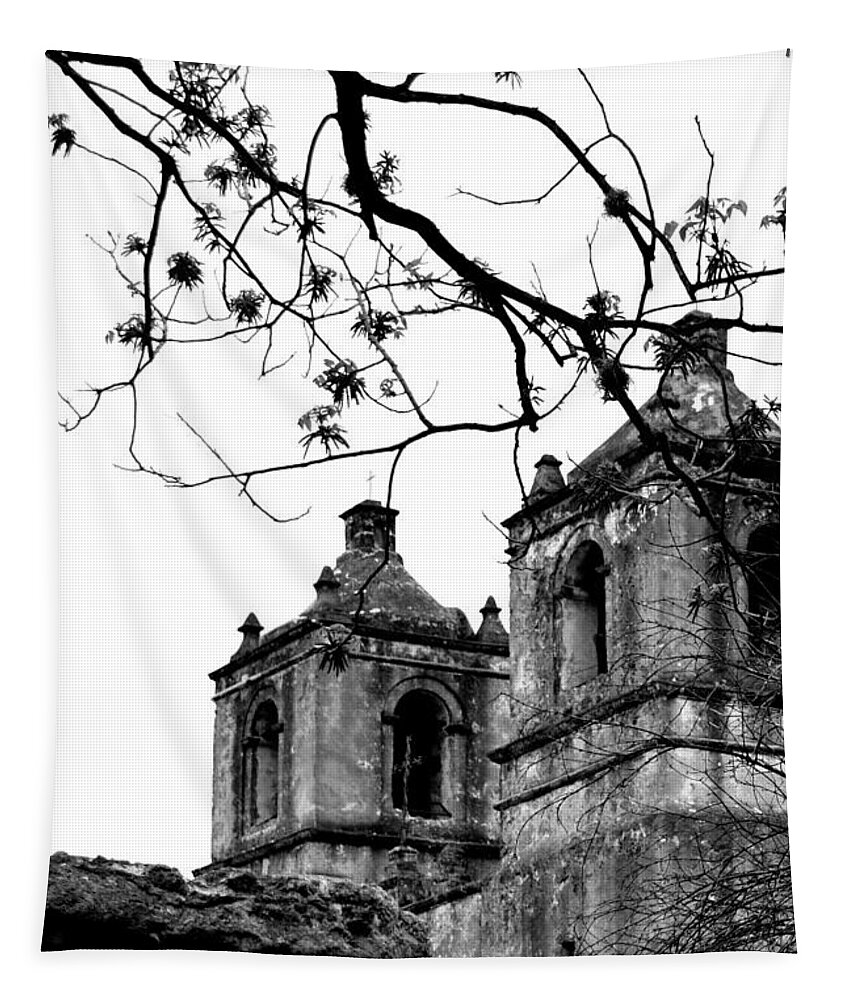 Historical Photograph Tapestry featuring the photograph Mission Concepcion Towers and Tree in Black and White by Expressions By Stephanie