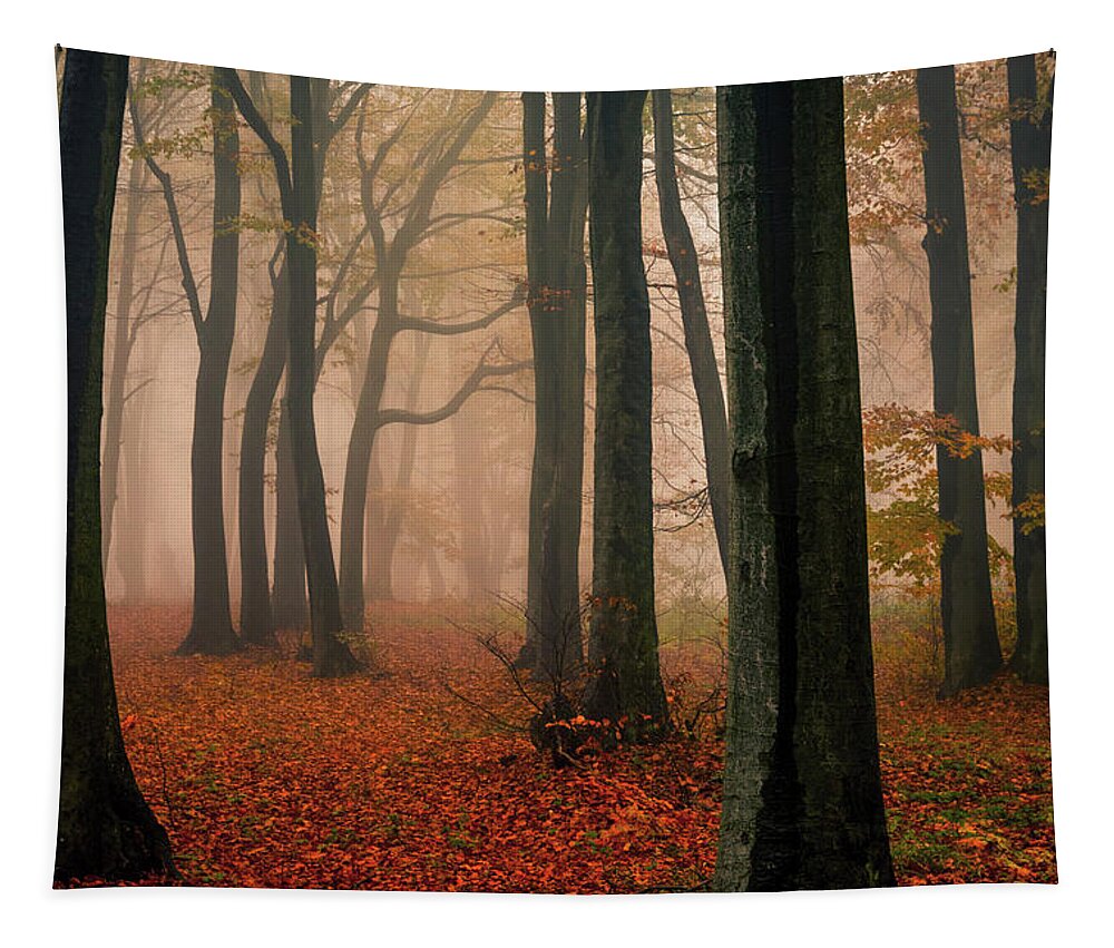Balkan Mountains Tapestry featuring the photograph Misty Autumn Forest by Evgeni Dinev