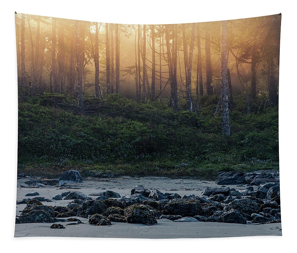Mist Tapestry featuring the photograph Misty morning at the Beach by Naomi Maya