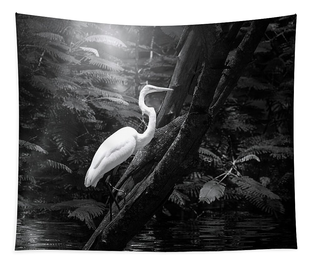 Great White Egret Tapestry featuring the photograph Misty Morning Egret by Mark Andrew Thomas
