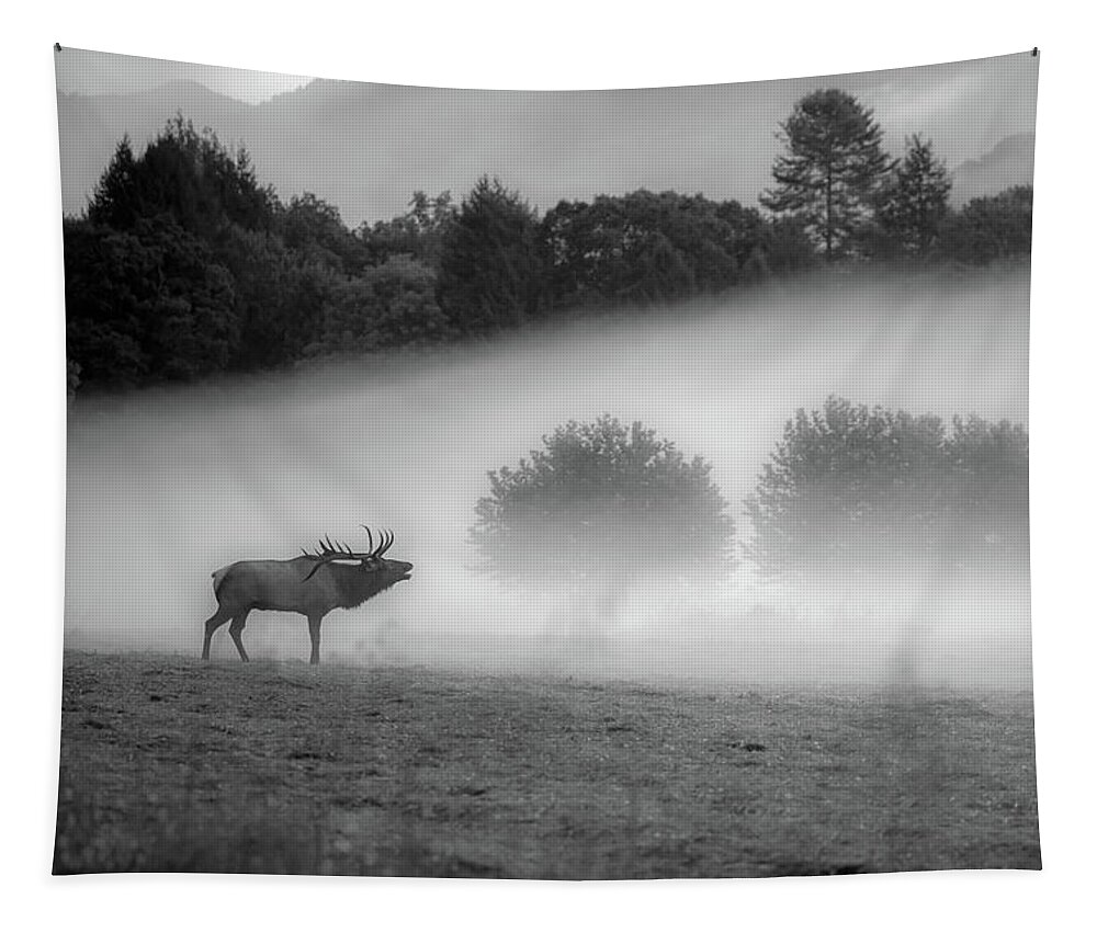 Great Smoky Mountains National Park Tapestry featuring the photograph Misty Morning in the Park by Robert J Wagner