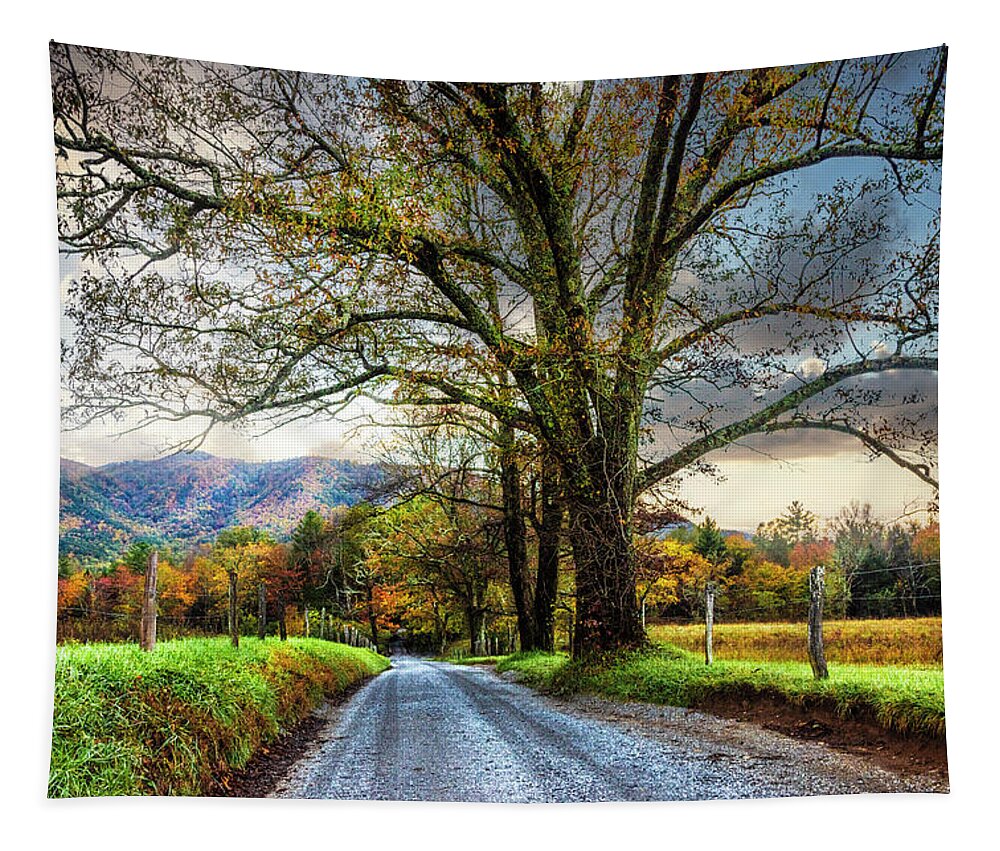 Cades Tapestry featuring the photograph Misty Sparks Lane by Debra and Dave Vanderlaan