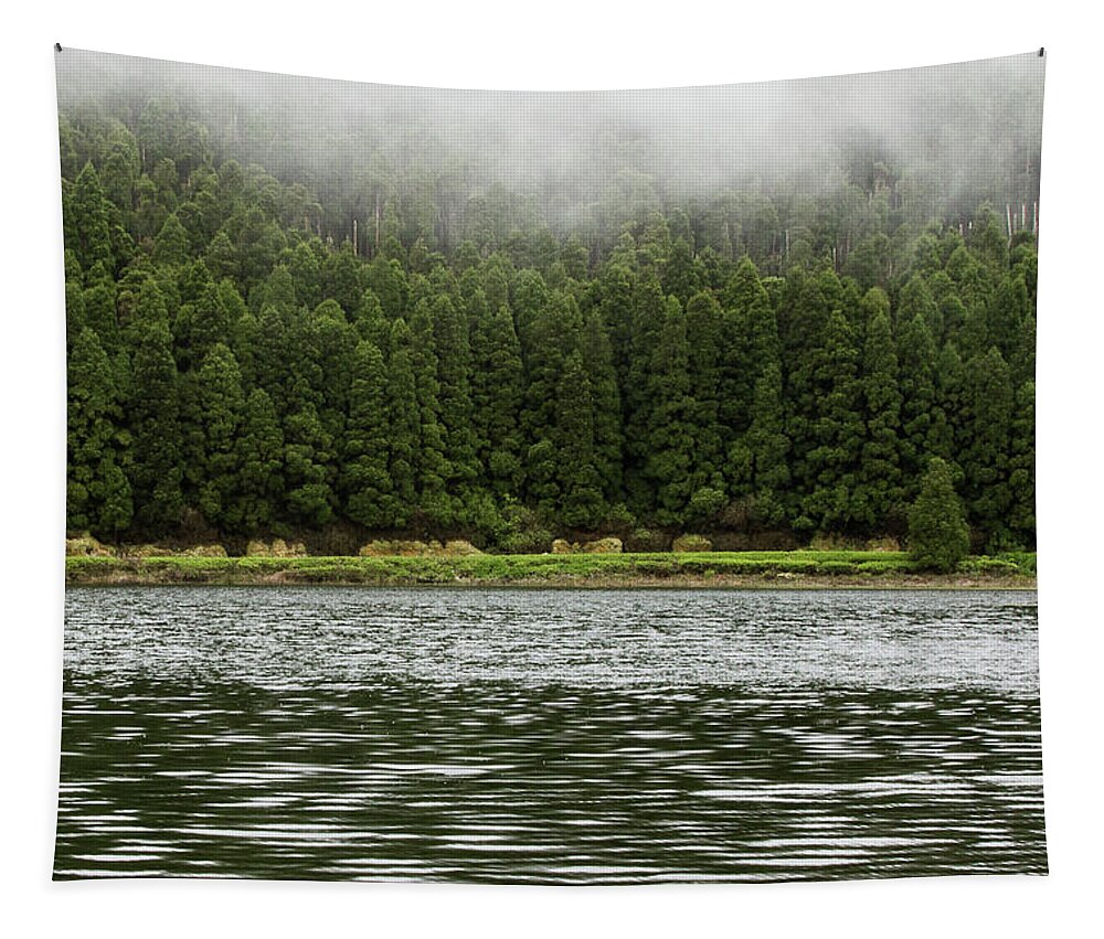 Trees Tapestry featuring the photograph Misty Trees by Denise Kopko