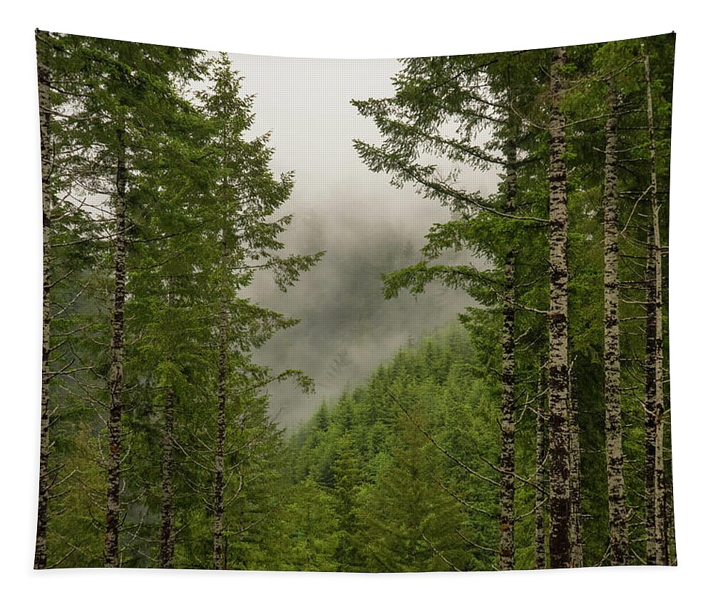 Landscape Tapestry featuring the photograph Mixing clouds by Bill Posner