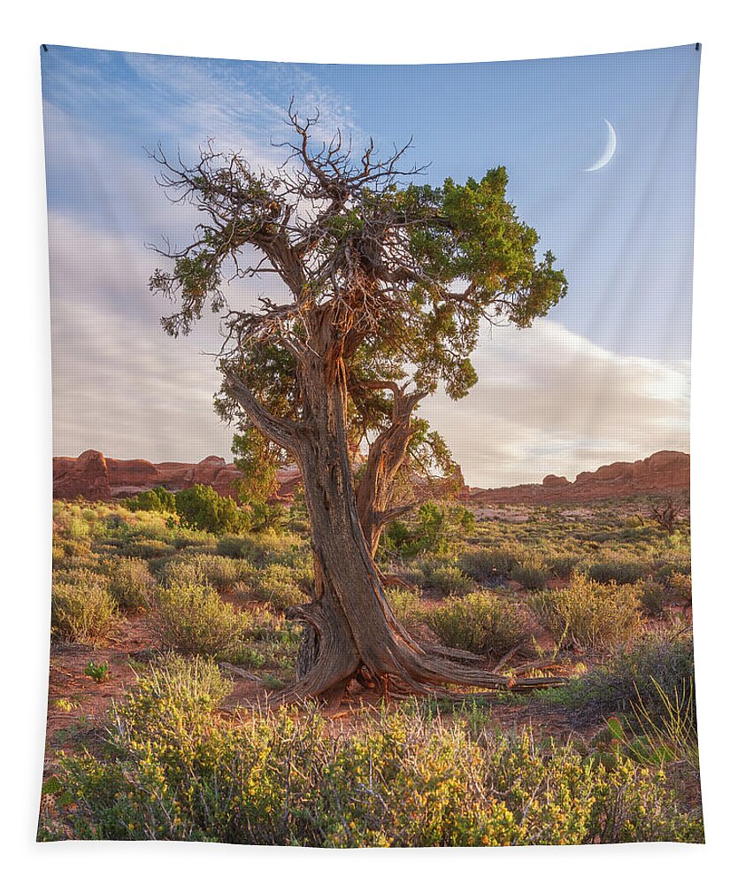 Moab Tapestry featuring the photograph Moab Morning Moon by Darren White