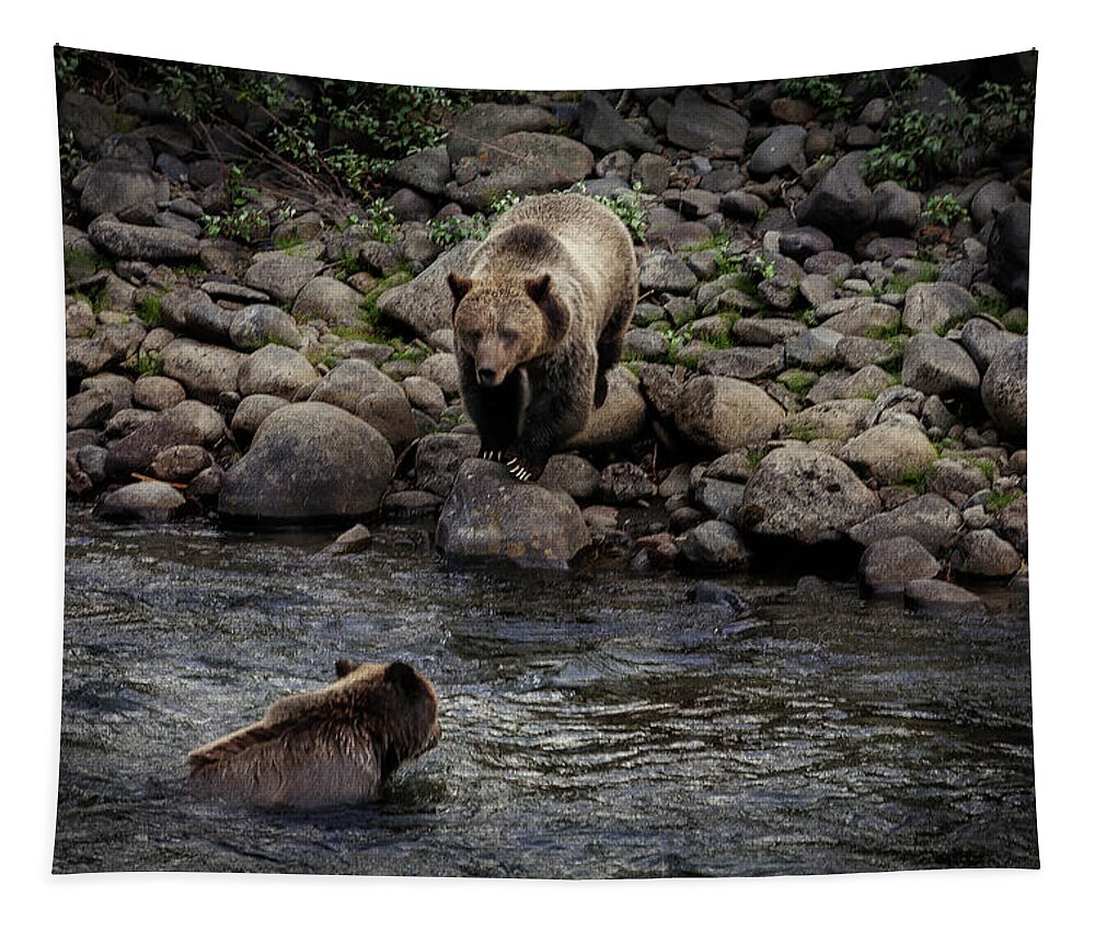 Grizzly Tapestry featuring the photograph Moma Bear Scolding Baby Bear by Craig J Satterlee