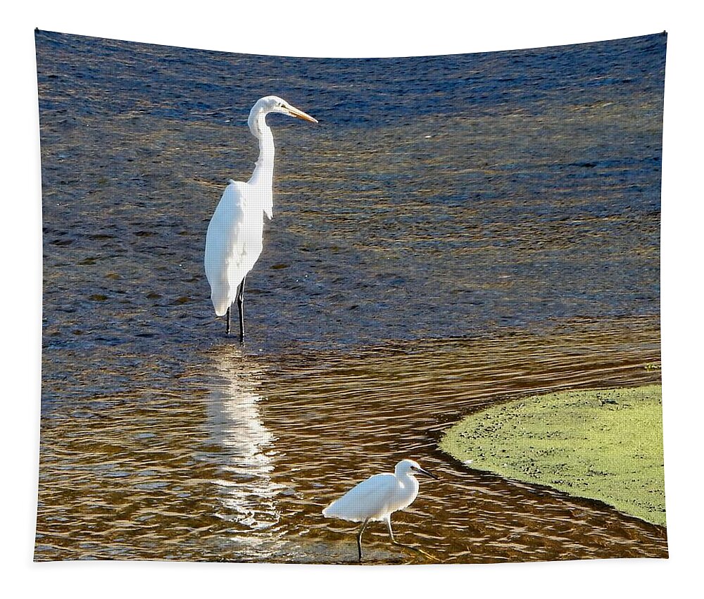 Bird Tapestry featuring the photograph Momma Bird and Baby Bird by Andrew Lawrence