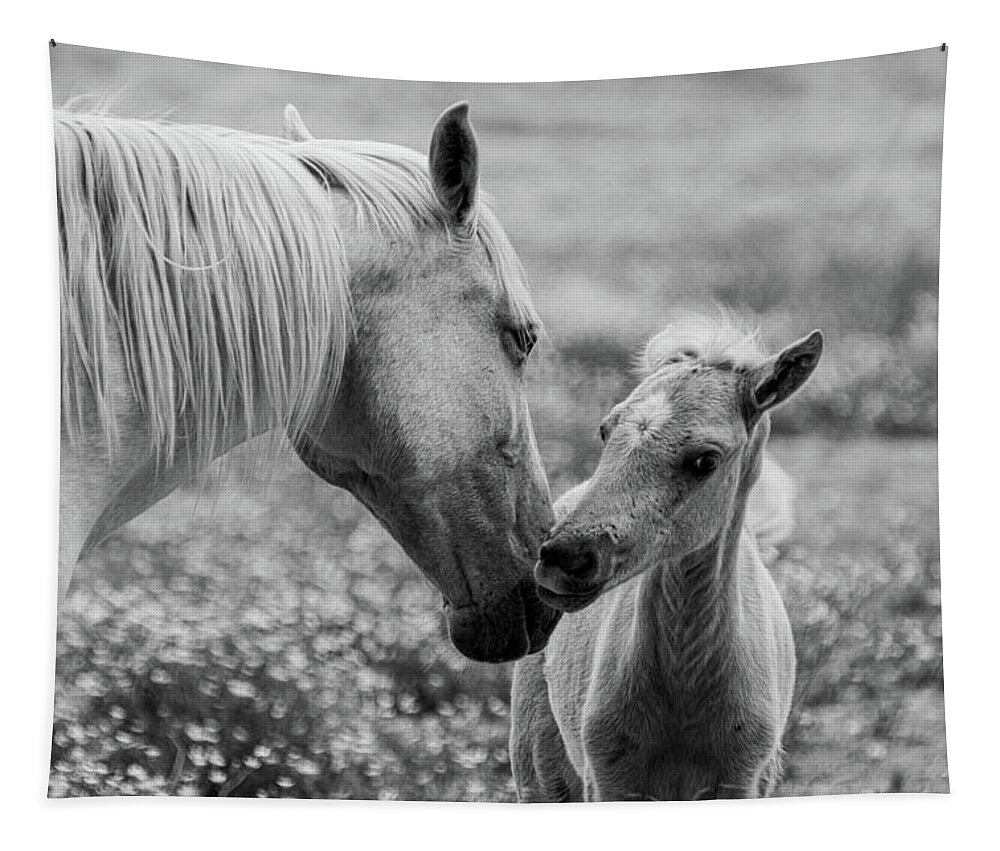Horse Tapestry featuring the photograph Momma's kisses are best by Jamie Tyler