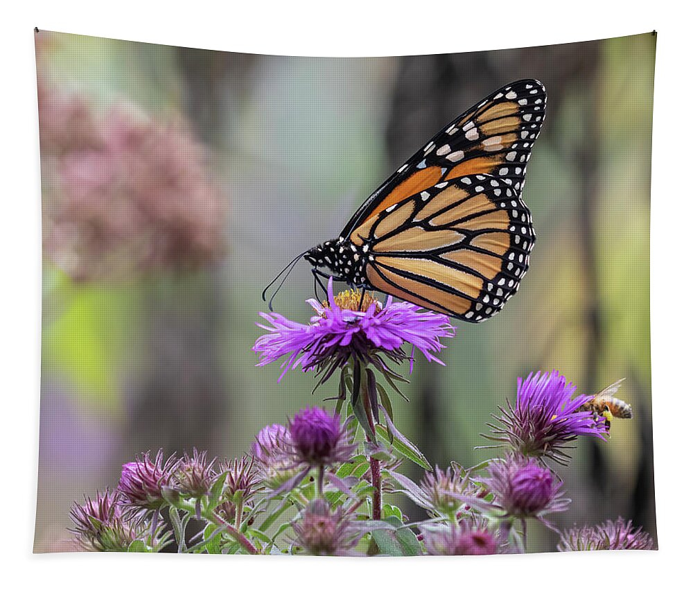 Monarch Butterfly Tapestry featuring the photograph Monarch 2020-5 by Thomas Young
