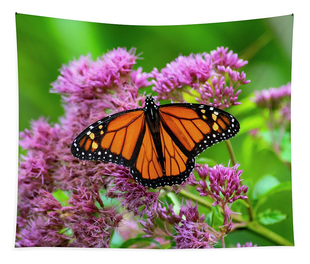 Nature Tapestry featuring the photograph Monarch Butterfly by Cathy Kovarik