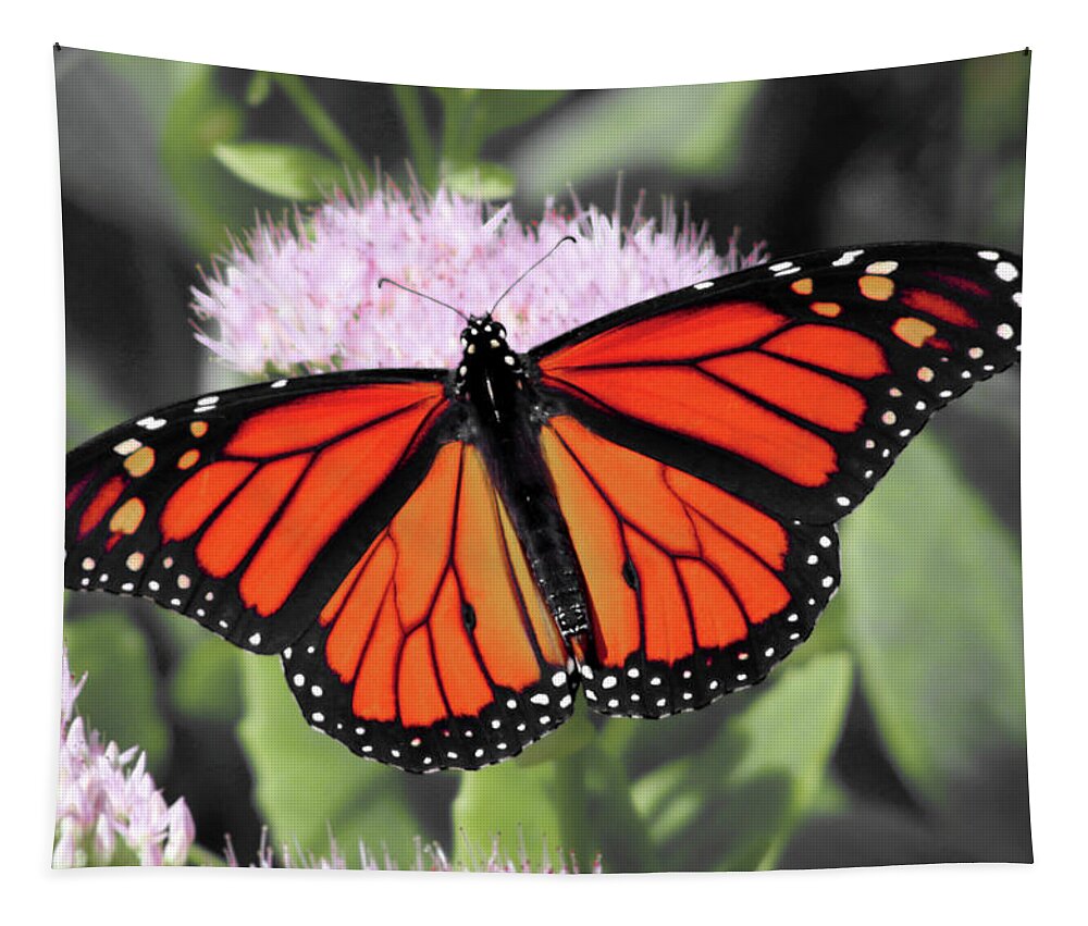 Monarch Tapestry featuring the photograph Monarch Butterfly on a PInk Flower photograph by Christopher Reed