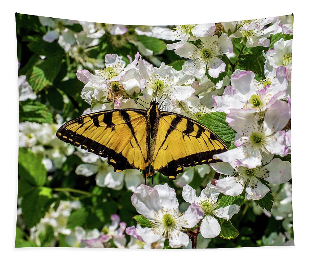 Animals Tapestry featuring the photograph Monarch Butterfly by Louis Dallara