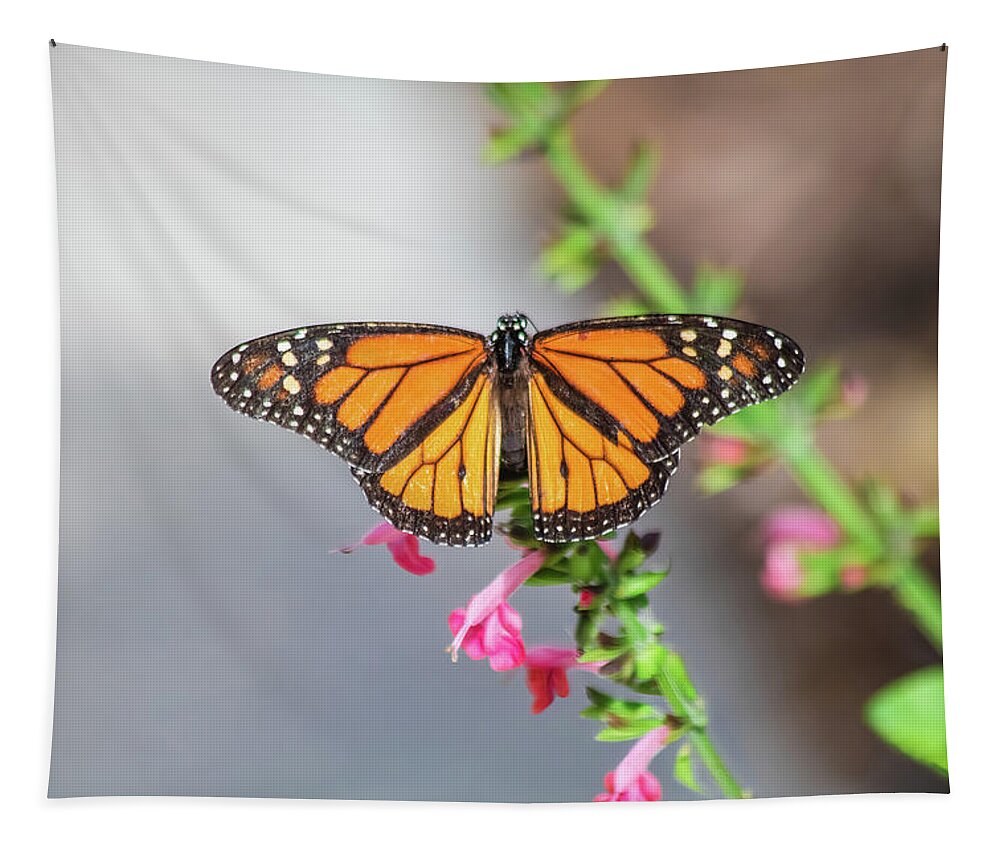 Nature Tapestry featuring the photograph Monarch Butterfly by Robert Wilder Jr