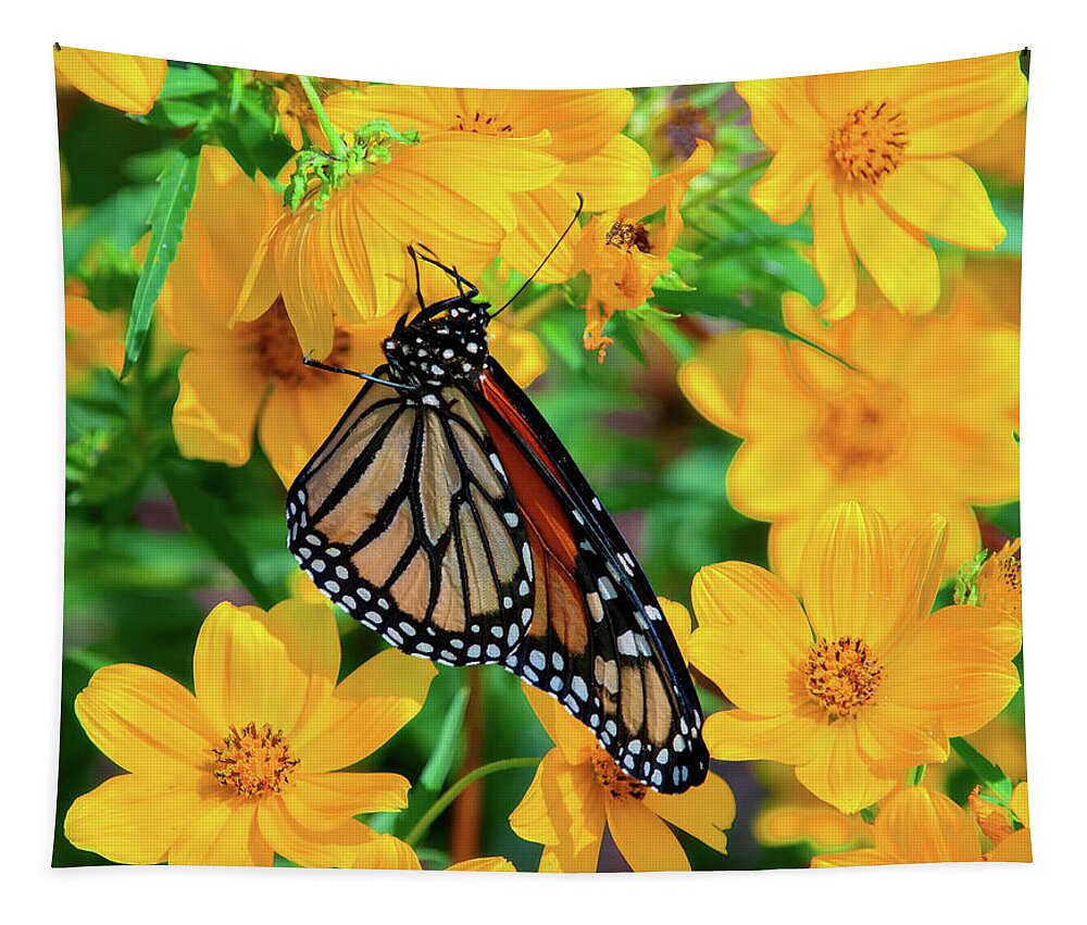 Nature Tapestry featuring the photograph Monarch on Tickseed Sunflower DIN0353 by Gerry Gantt