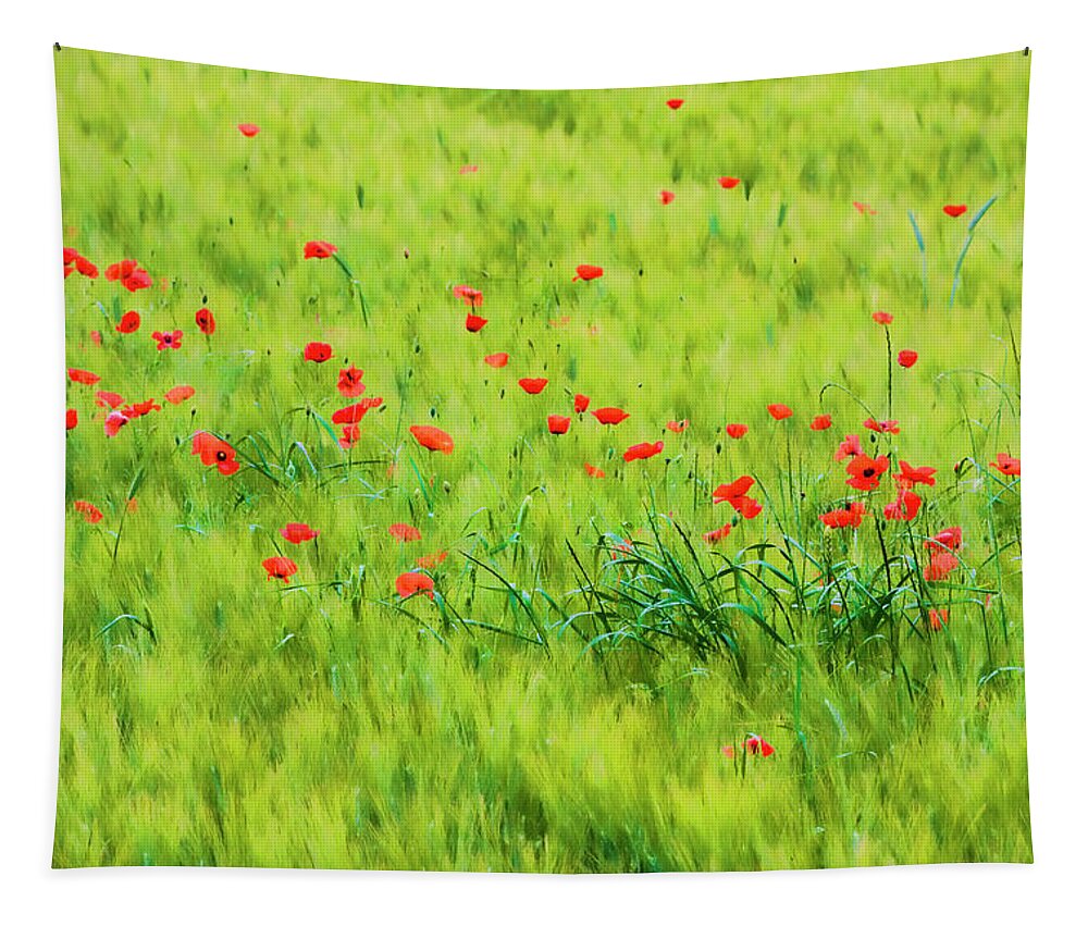 Wheat Field;poppies; Red ; Green; Tuscany Tapestry featuring the photograph Monet Poppies in Italy by Eggers Photography