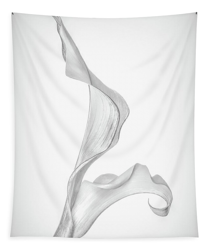 Calla Lily Tapestry featuring the photograph Monochromatic Calla Lily by Elvira Peretsman