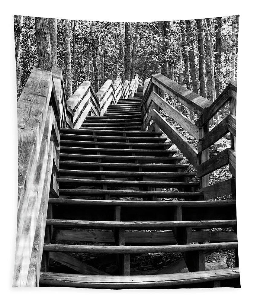 Stairs Tapestry featuring the photograph Monochrome Study of Wooden Stairs at Stone Mountain in North Car by Charles Floyd