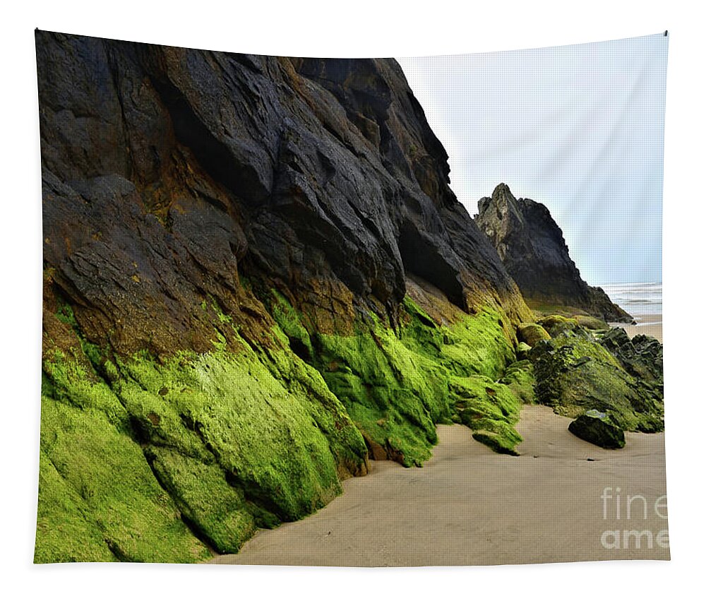 Beach Tapestry featuring the photograph Monster by Lauren Leigh Hunter Fine Art Photography