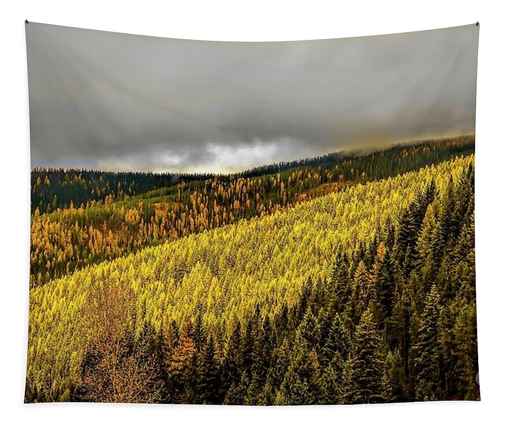 Jon Burch Tapestry featuring the photograph Montana Highways by Jon Burch Photography