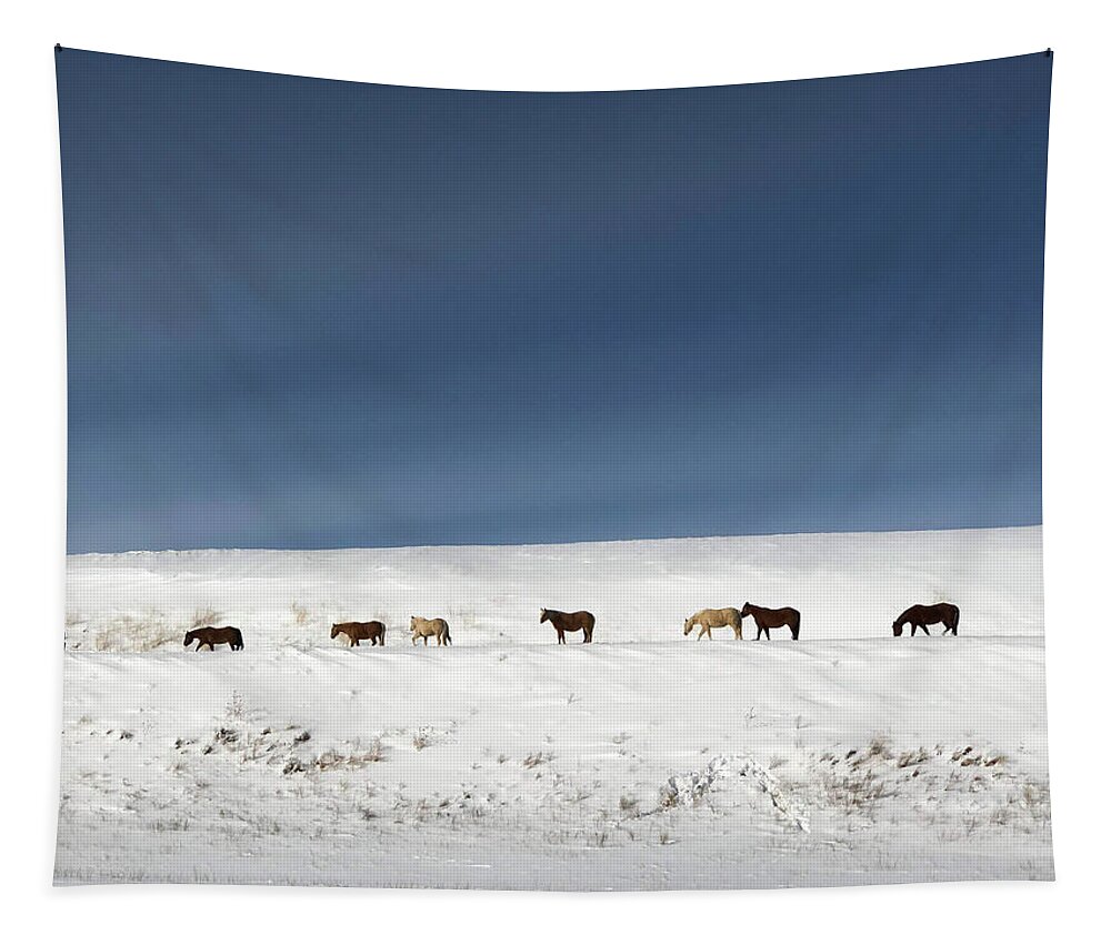 Wild Horses Tapestry featuring the photograph Montana wild horses crossing in winter by Tatiana Travelways