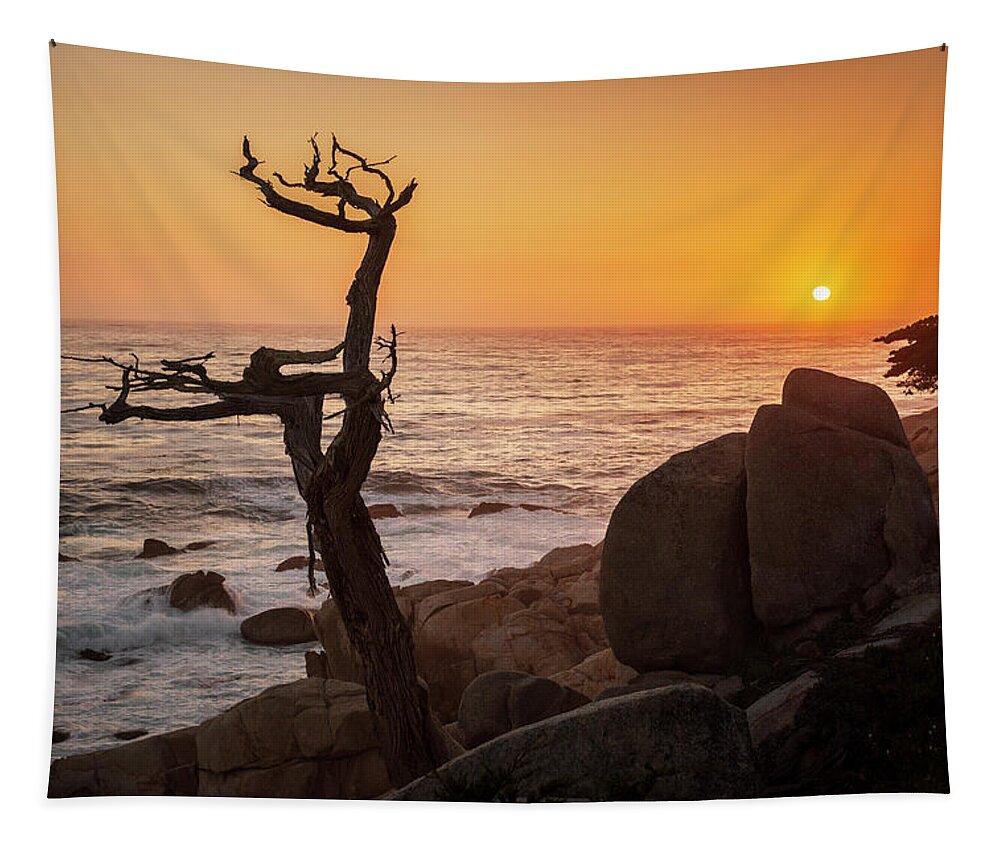 17 Mile Drive Tapestry featuring the photograph Monterey Peninsula VII Color by David Gordon